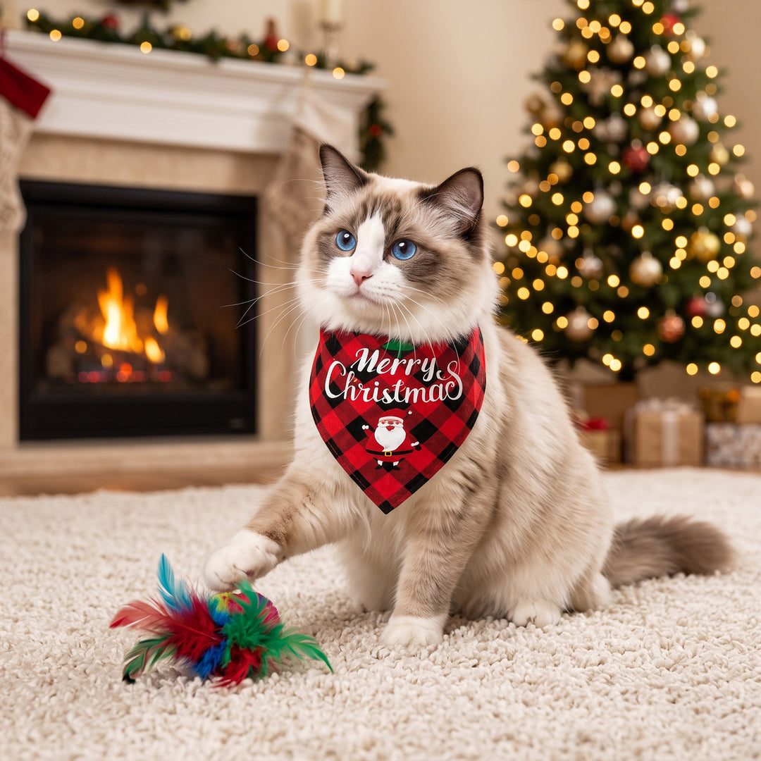 Julekalender for katt med leker