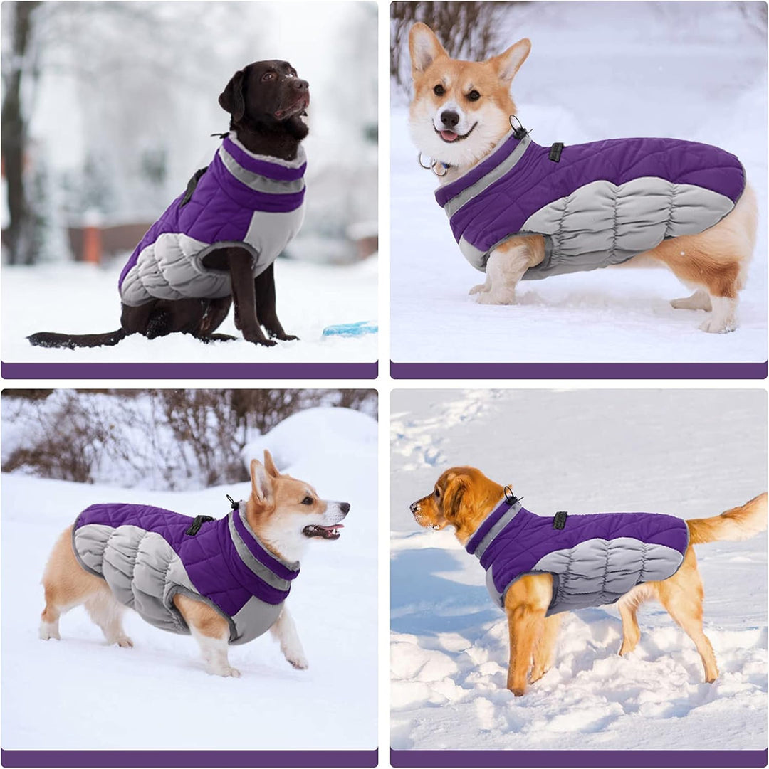 Vikbua™ Vanntett vinterjakke til hund med innebygd sele og fleece