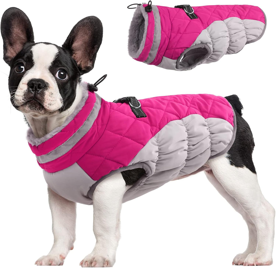 Vikbua™ Vanntett vinterjakke til hund med innebygd sele og fleece