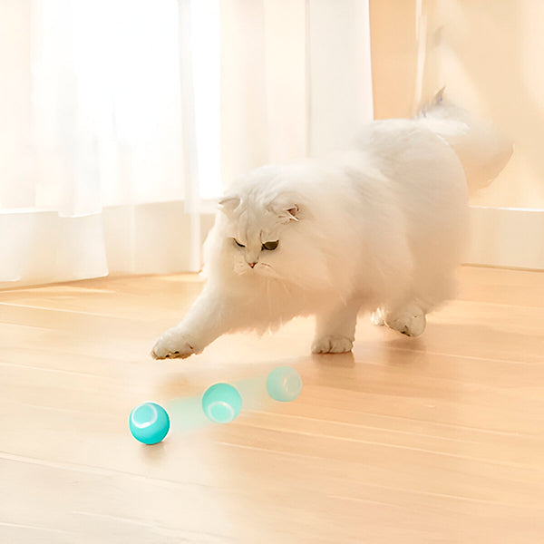 Vikbua™ Automatisk rullende ball for hund og katt, USB-oppladbar