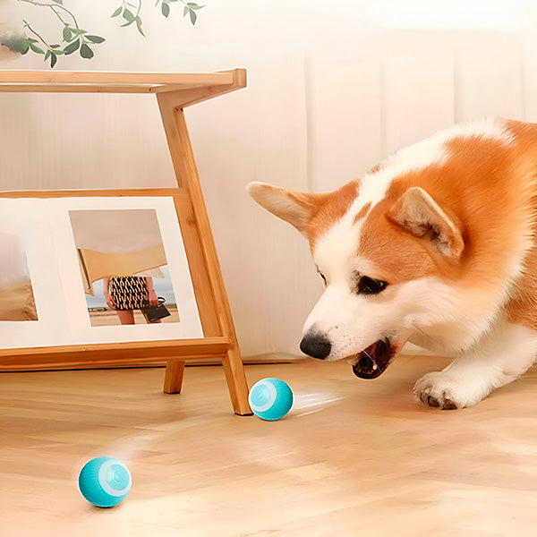 Vikbua™ Automatisk rullende ball for hund og katt, USB-oppladbar