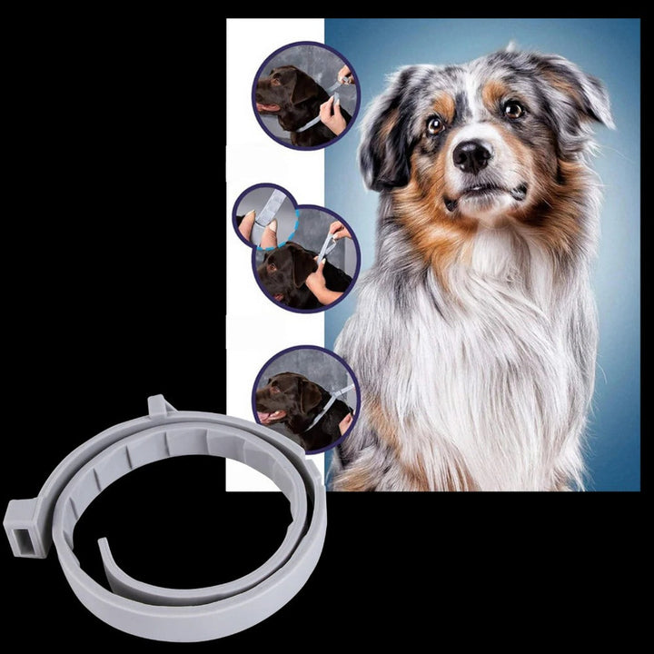 Vikbua™ Loppe- og flåtthalsbånd for hund og katt, justerbart