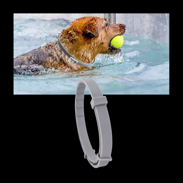 Vikbua™ Loppe- og flåtthalsbånd for hund og katt, justerbart
