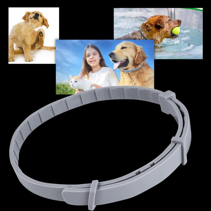 Vikbua™ Loppe- og flåtthalsbånd for hund og katt, justerbart