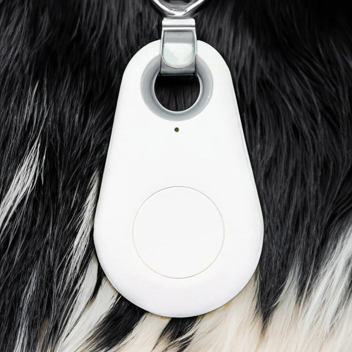 Vikbua™ Bluetooth-sporer for kjæledyr med pipelyd og trygge soner