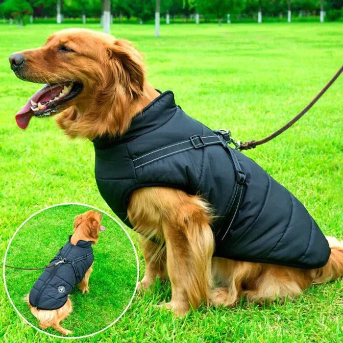 Vikbua™ Vanntett vinterdekken til hund med fleecefôr og sele