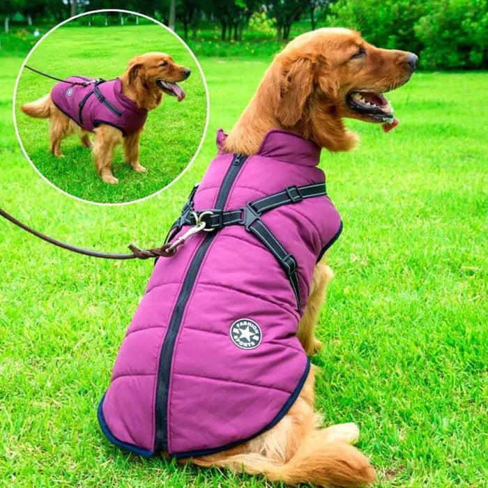 Vikbua™ Vanntett vinterdekken til hund med fleecefôr og sele