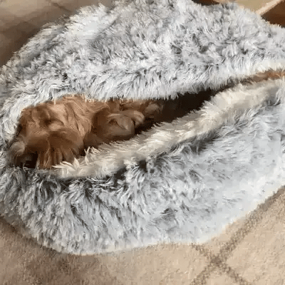 Vikbua™ Beroligende hundeseng med tak – lun hule for hunden din