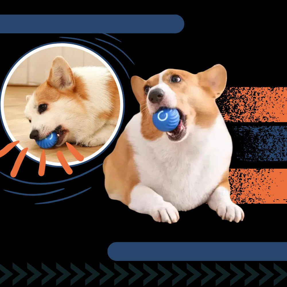 Vikbua™ Selvrullende hundeball som unngår hindringer, oppladbar