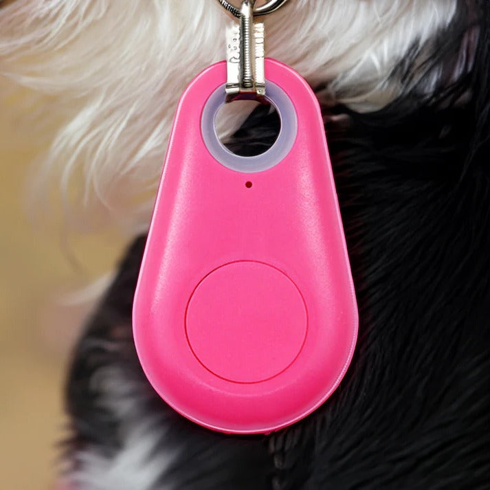 Vikbua™ Bluetooth-sporer for kjæledyr med pipelyd og trygge soner