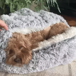 Vikbua™ Beroligende hundeseng med tak – lun hule for hunden din