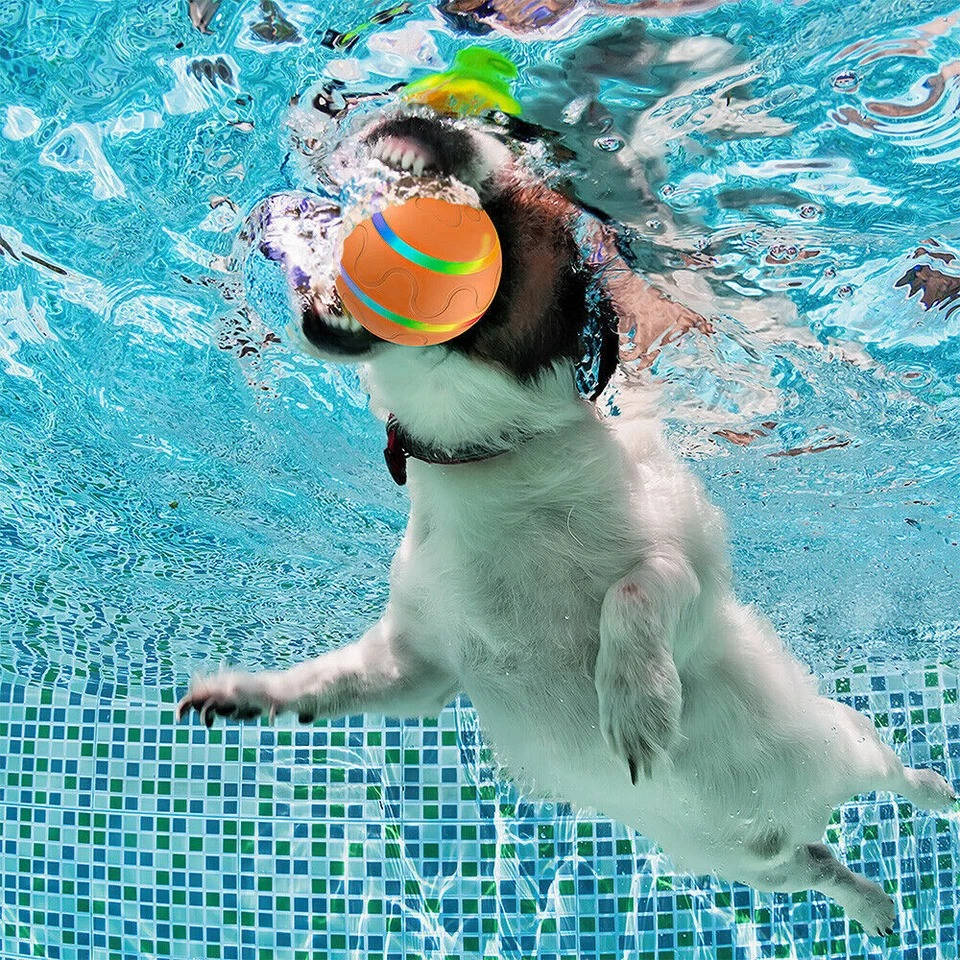 Vikbua™ Fjernstyrt hundeball med bevegelsessensor og lys