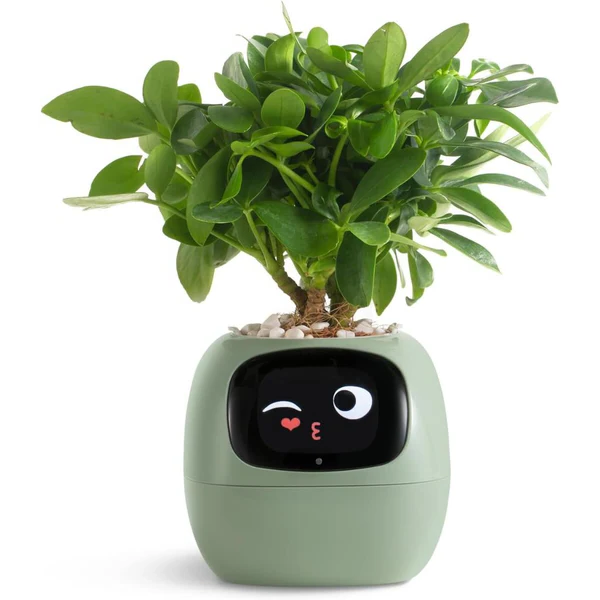 Vikbua™ Smart blomsterpotte med selvvanning og jordsensor