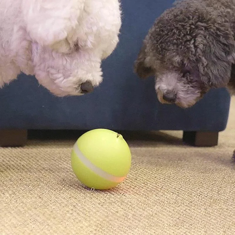 Vikbua™ Interaktiv selvgående ball til katt og hund, oppladbar
