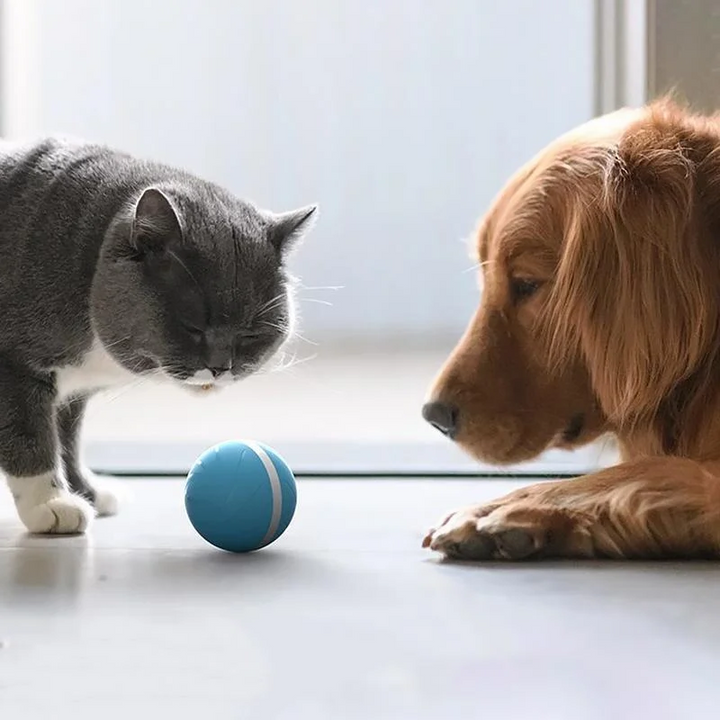 Vikbua™ Interaktiv selvgående ball til katt og hund, oppladbar