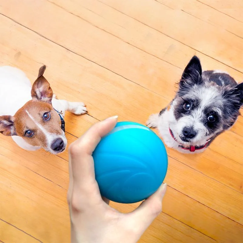 Vikbua™ Interaktiv selvgående ball til katt og hund, oppladbar