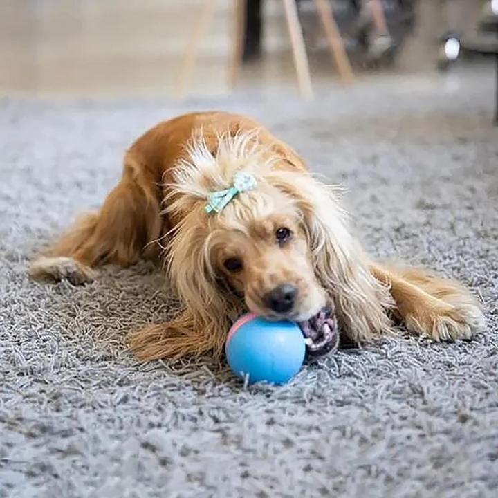 Vikbua™ Interaktiv selvgående ball til katt og hund, oppladbar